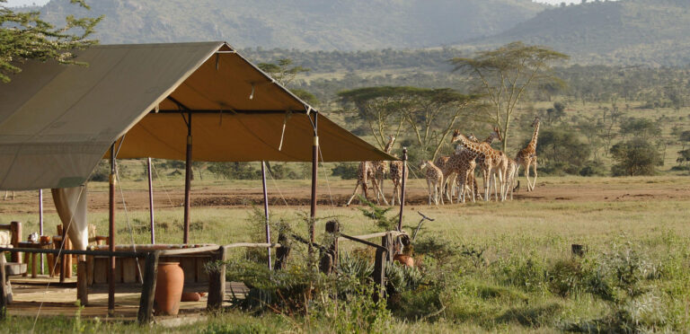 12-days-tanzania-budget-safari-banner