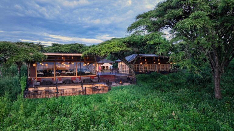 8-days-Luxury-safari-Tanzania-by-Flight