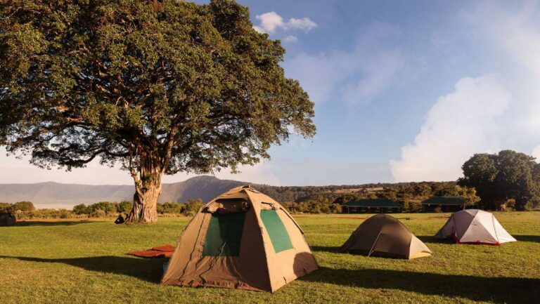 Birthday-Party-Facebook-Event-Header-Banner-Social-Media-Plants-20-1