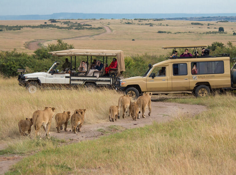 safari-in-tanzania